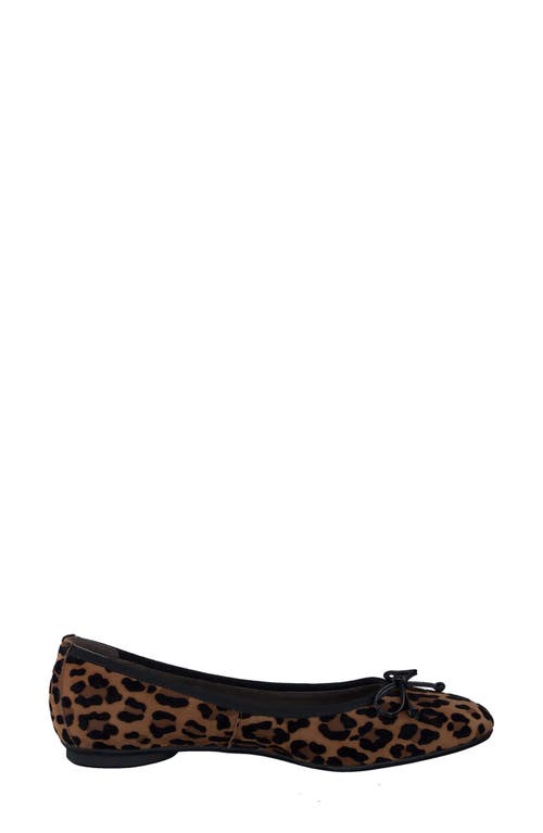 Shop Paul Green Ursula Ballet Flat In Sisal Leo Velvet