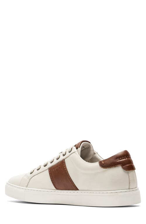 Shop Rodd & Gunn Endeavour Cruise Sneaker In Chalk