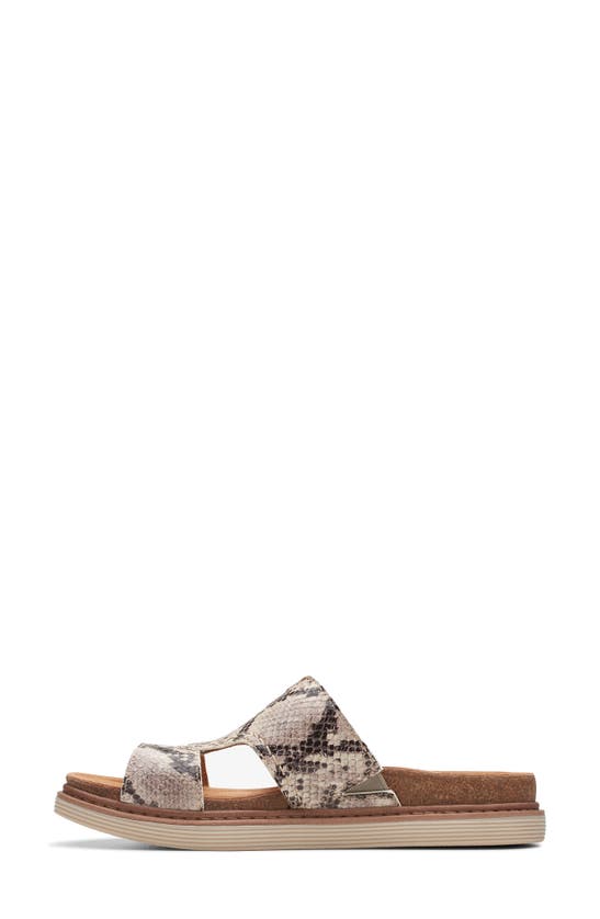 Shop Clarks (r) Arwell Slide Sandal In Snake Print