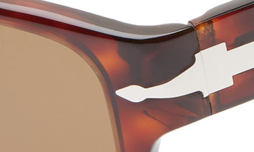 Persol 58mm Polarized Square Sunglasses In Havana/brown Solid