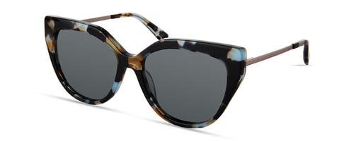 Derek Lam 10 Crosby Campbell Sunglasses In Blue Brown Tortoise