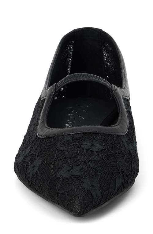 Shop Matisse Fleur Pointed Toe Flat In Black Lace