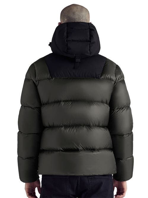 Triple F.a.t. Goose Puffer Down Jacket In Olive