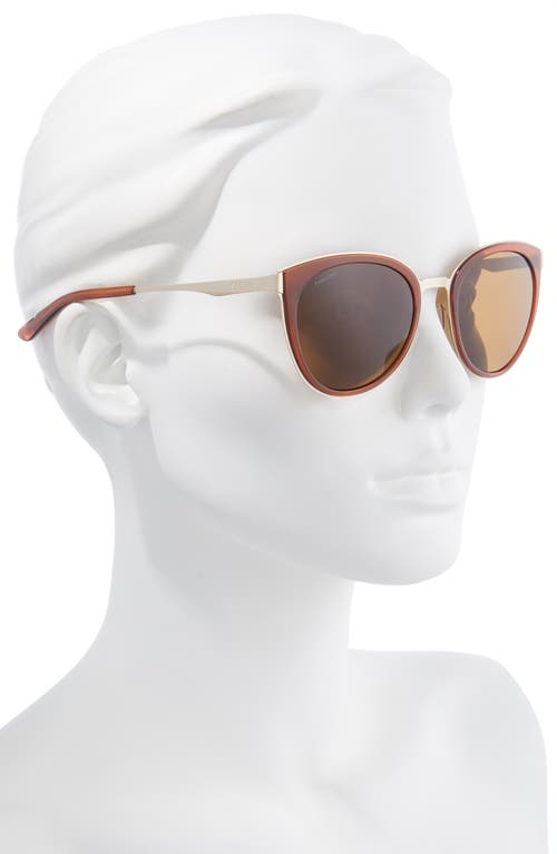 Shop Smith Somerset 53mm Polarized Cat Eye Sunglasses In Amber/polarized Brown