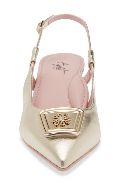 Naot Amber Pointed Toe Slingback Pump In Gold Metallic Leather
