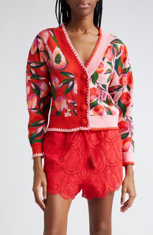 FARM Rio Papaya Jacquard Cardigan in Papaya Mix at Nordstrom, Size Small