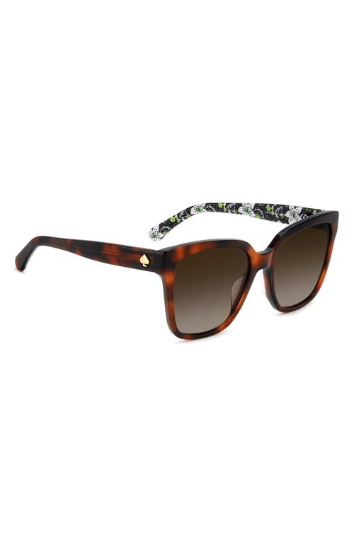 Kate Spade New York Kiya 56mm Gradient Square Sunglasses In Brown