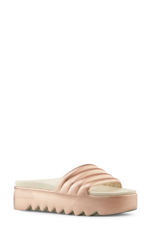 Cougar Pool Party Platform Slide Sandal at Nordstrom,