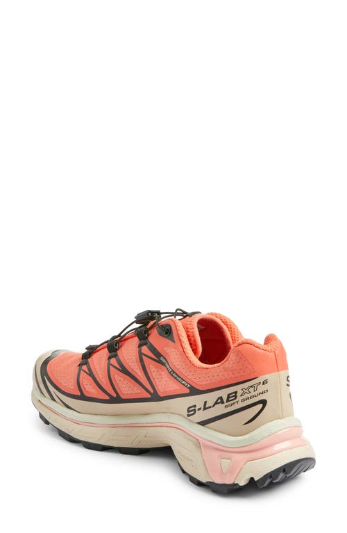 Shop Salomon Gender Inclusive Xt-6 Sneaker In Living Coral/black/cement