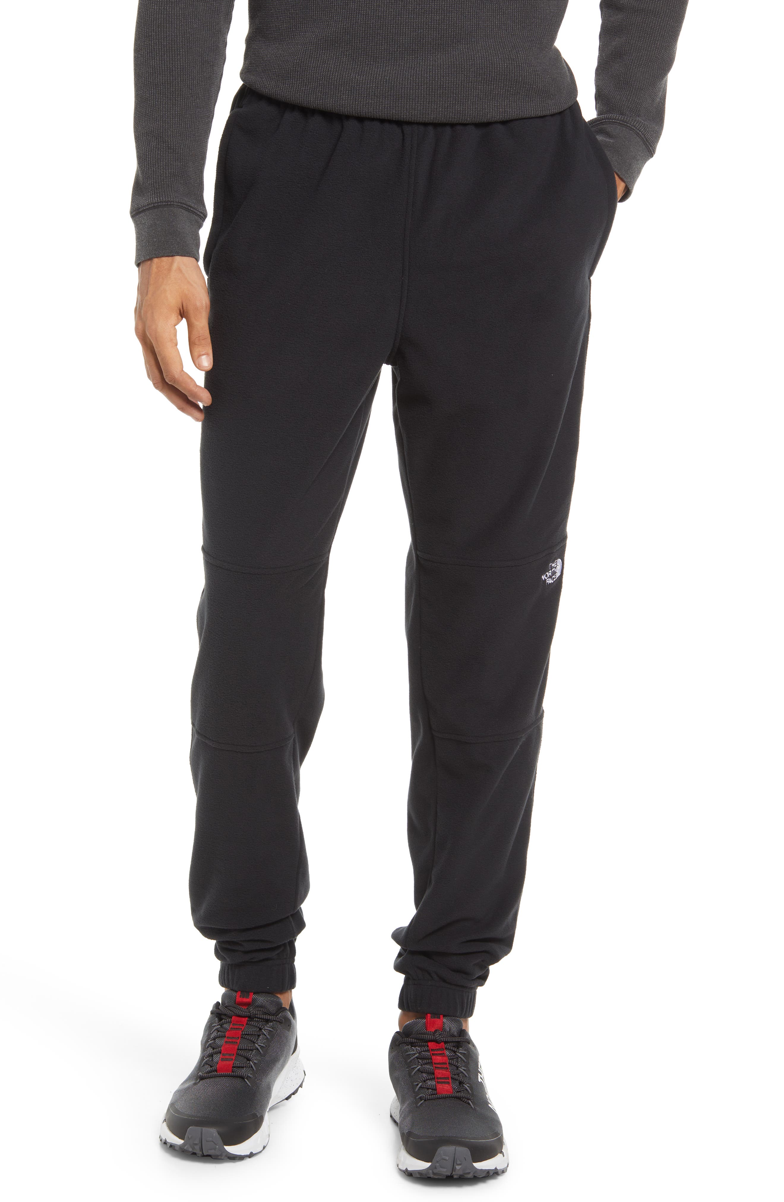 the north face men's glacier pant