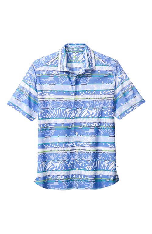 Tommy Bahama Maldonado Stripe Short Sleeve Button-Up Shirt in Mountain Bluebell at Nordstrom, Size 3Xlt