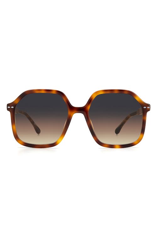 55mm Square Sunglasses in Havana /Gray Brown