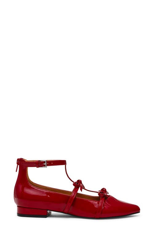 Dolce Vita Dv By  Dreams Pointed Toe Flat In Red
