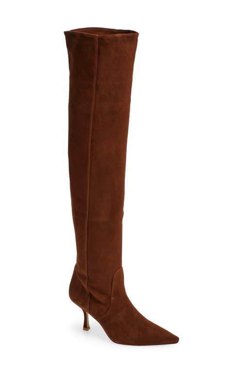 Shop Stuart Weitzman Naomi 75 Tall Boot In Deep Coffee Suede