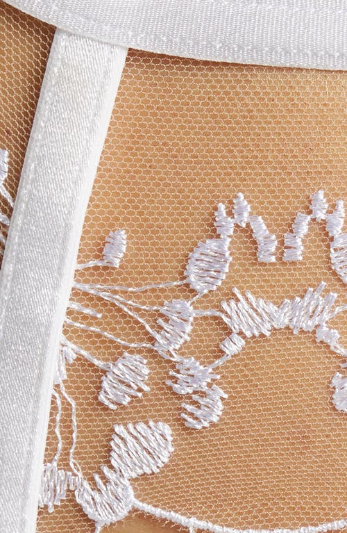 BLUEBELLA BLUEBELLA MARISA EMBROIDERED MESH GARTER BELT 
