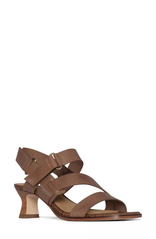 Donald Pliner Fisherman Kitten Heel Sandal Saddle at Nordstrom,