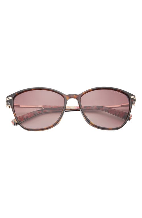 Ted Baker London 57mm Cat Eye Sunglasses In Tortoise