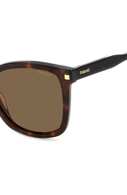 Shop Polaroid 53mm Polarized Square Sunglasses In Havana/bronze Polar