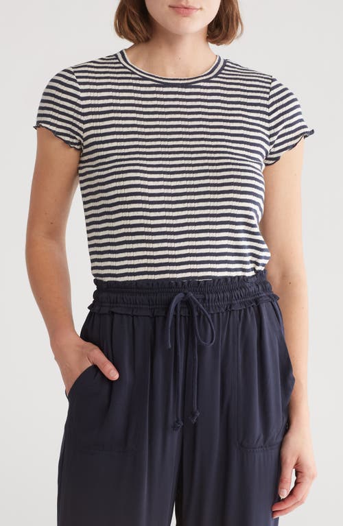 Shop Splendid Como Pointelle T-shirt In Navy/oat Stripe