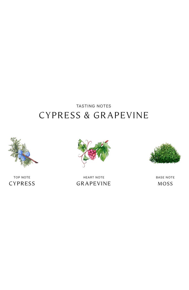 Jo Malone London™ Cypress & Grapevine Cologne Intense Nordstrom