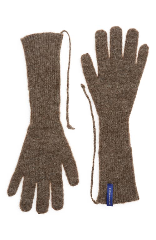 Peter Wool & Alpaca Blend Gloves in Taupe