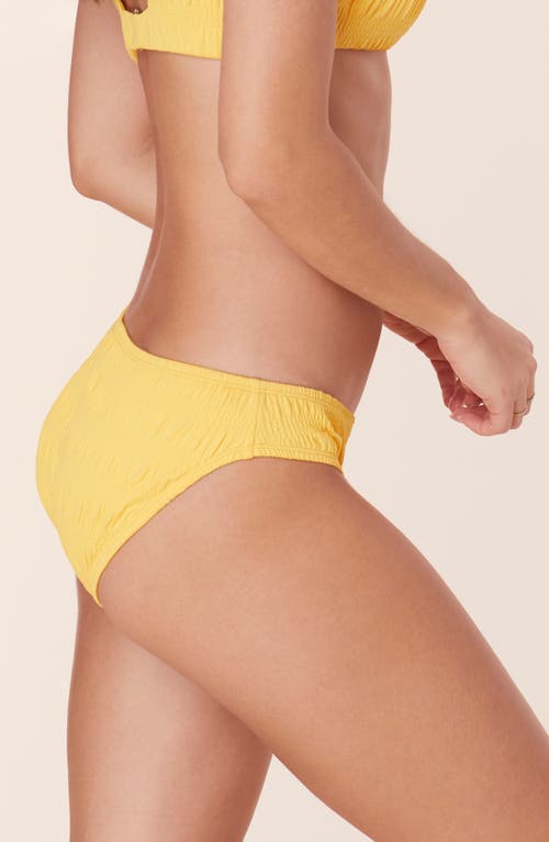 Shop Andie Bikini Bottoms In Sunstruck