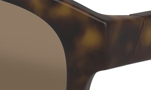 MAUI JIM MAUI JIM IHUPANI AF 53MM POLARIZEDPLUS2® ROUND SUNGLASSES 