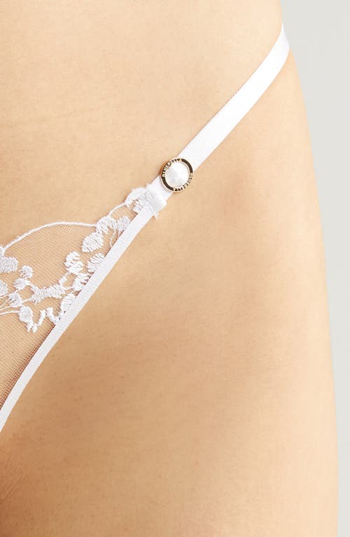 Bluebella Marisa Embroidered Briefs In White/sheer