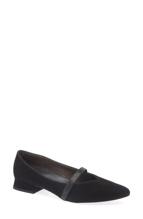 Paul Green Wendy Pointed Toe Flat in Black Suede 