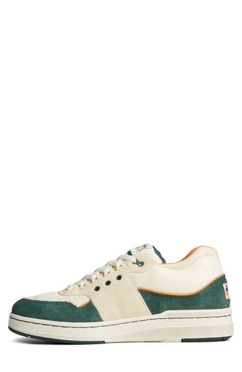 Shop Sperry Us12 Sneaker In Green Multi