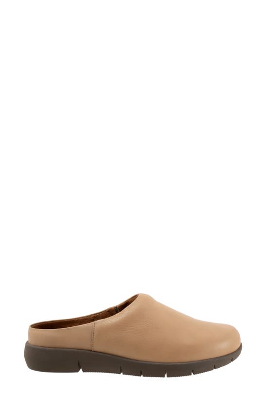 Softwalk Andria Mule In Beige