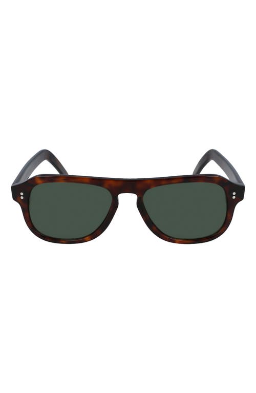 Cutler And Gross 53mm Flat Top Aviator Sunglasses In Brown
