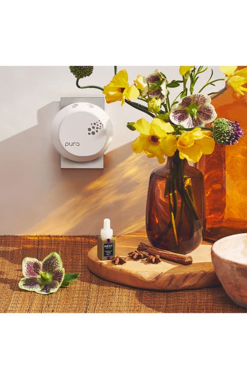 Nest New York Moroccan Amber Pura Refill, Set Of 2 In Moroccan Amber