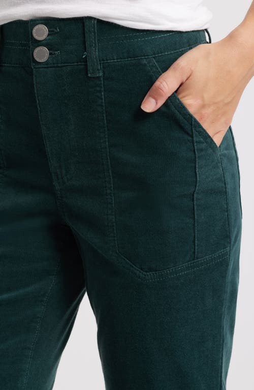 Shop Wit & Wisdom Madison 'ab'solution High Waist Bootcut Corduroy Pants In Dusty Spruce