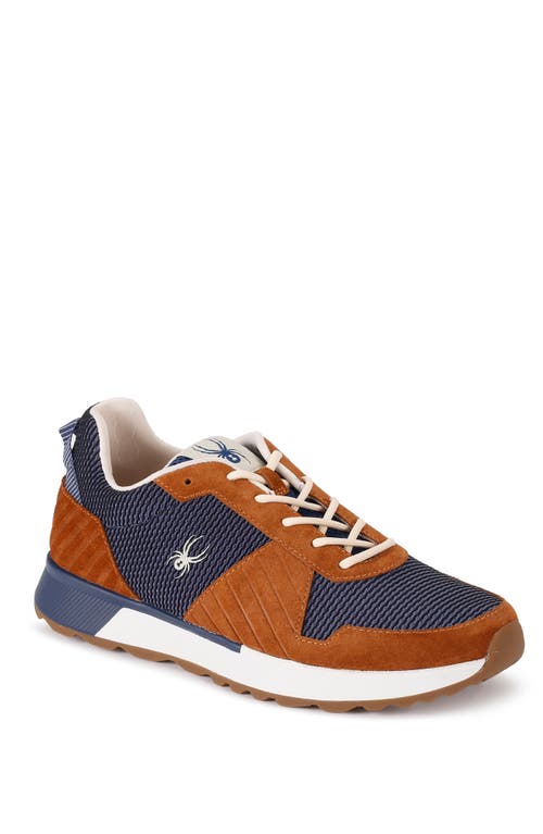 Spyder Maxwell Sneaker Brown Spice at Nordstrom,