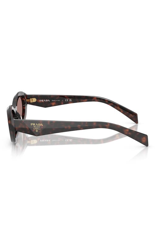 Shop Prada 55mm Irregular Sunglasses In Brown Tortoise