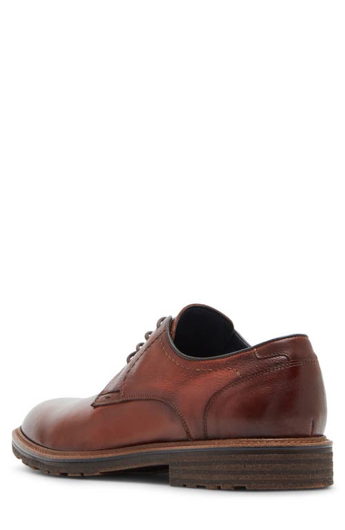 Steve Madden Hoxton Wingtip Derby In Cognac