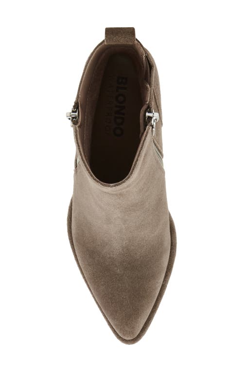 Shop Blondo Elenor Waterproof Bootie In Taupe Suede