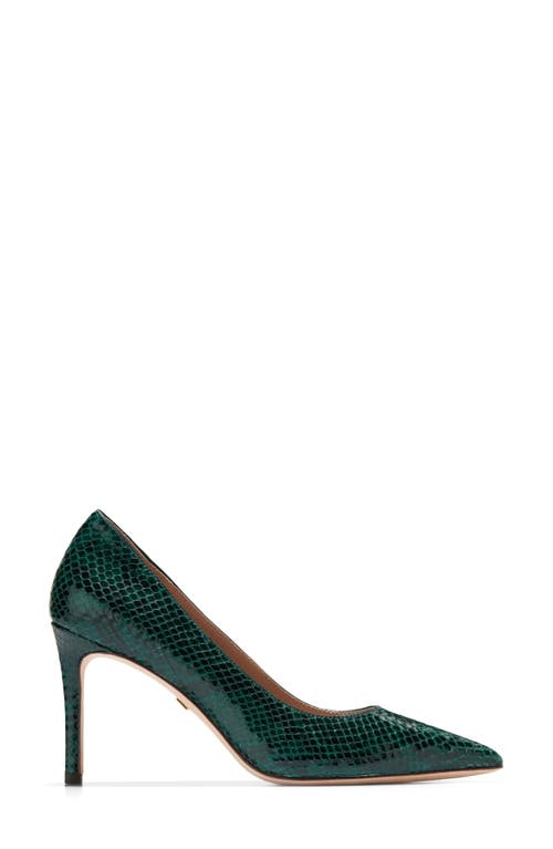 Shop Cole Haan Mckelya Pointed Toe Pump In Ponderose Croco