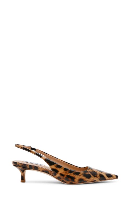 STEVE MADDEN STEVE MADDEN KARI POINTED TOE KITTEN HEEL SLINGBACK PUMP