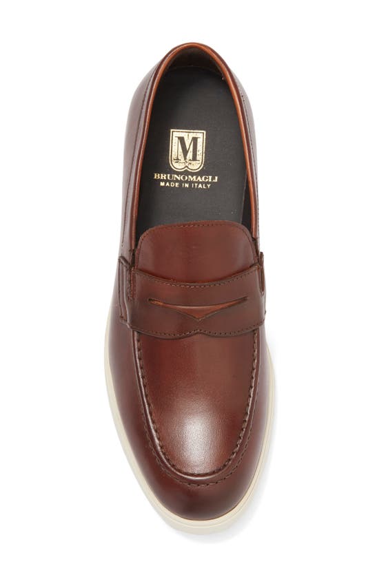 Bruno Magli Ezra Penny Loafer In Cognac