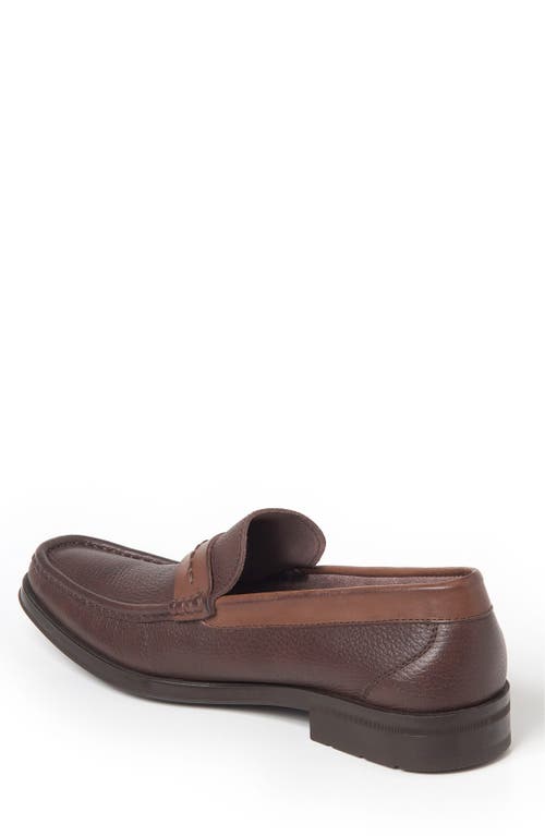 Shop Sandro Moscoloni Duero Loafer In Brown Leather