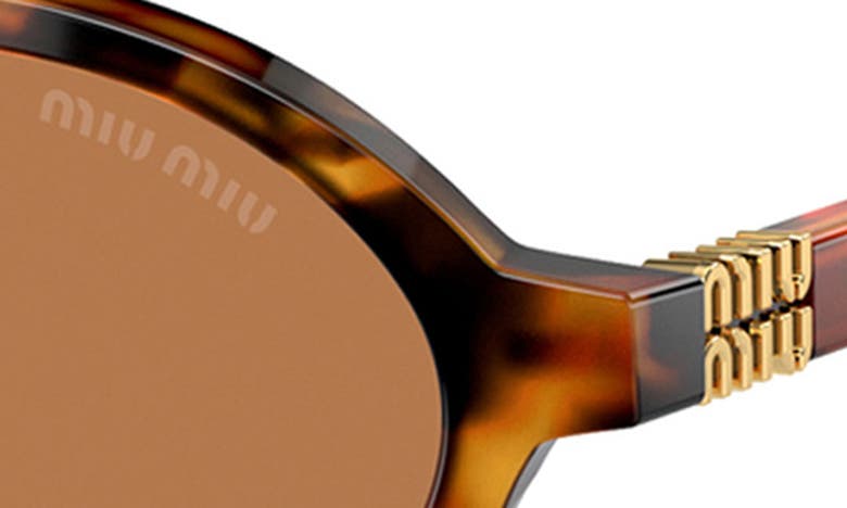 Miu Miu 50mm Oval Sunglasses In Brown