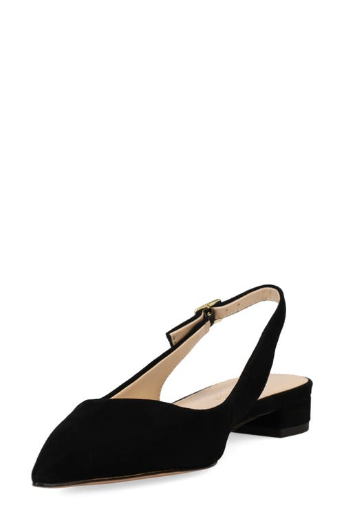 Shop Pelle Moda Aali Pointed Toe Slingback Flat In Black