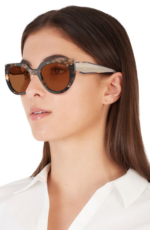 Shop Prada 52mm Irregular Sunglasses In Caramel Havana