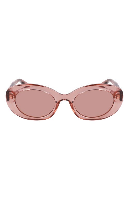 Longchamp Le Pliage 50mm Oval Sunglasses In Transparent Rose
