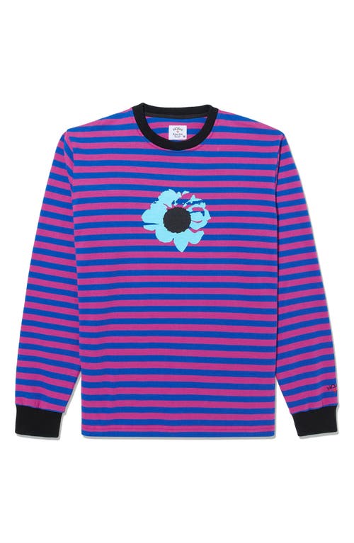 Noah x The Cure Stripe Cotton Graphic T-Shirt Pink/Blue at Nordstrom,