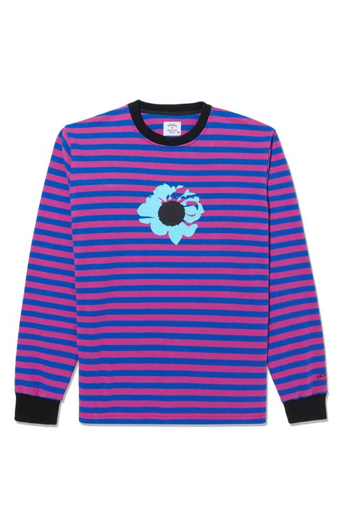 Noah X The Cure Stripe Cotton Graphic T-shirt In Pink/blue