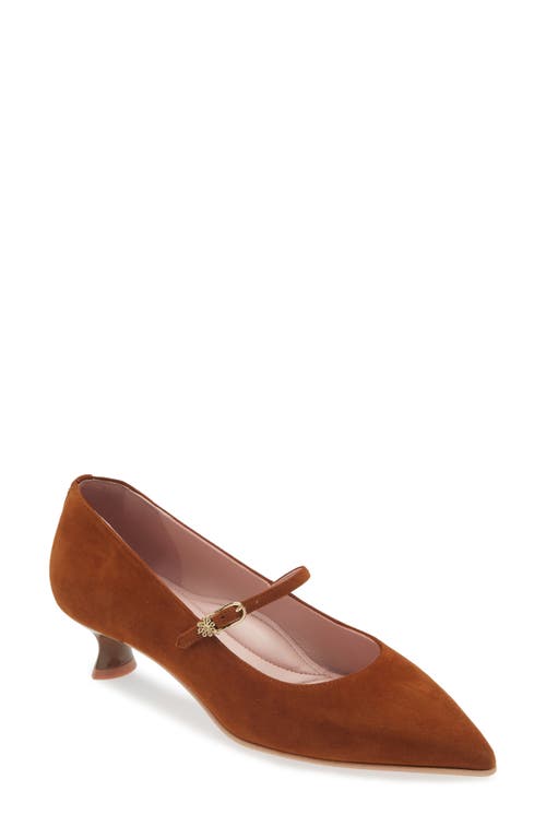 Shop Naot Rosalie Pointed Toe Pump In Brown Suede