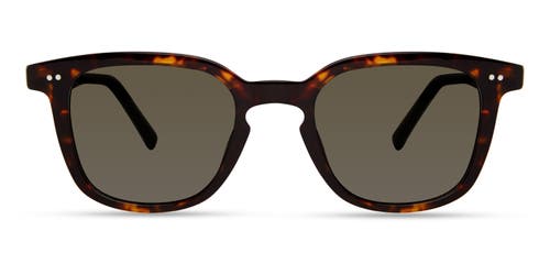 Modo 800 Sunglasses In Tortoise